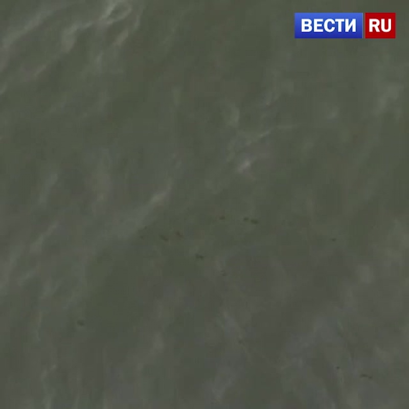 Москве любитель селфи разбился при падении с моста.