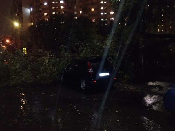 Лукинская 9, на чью-то машину дерево упало