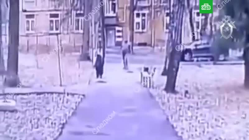 Безработный мужчина напал на 78-летнюю пенсионерку во дворе дома в Москве. Он душил и избивал женщин...