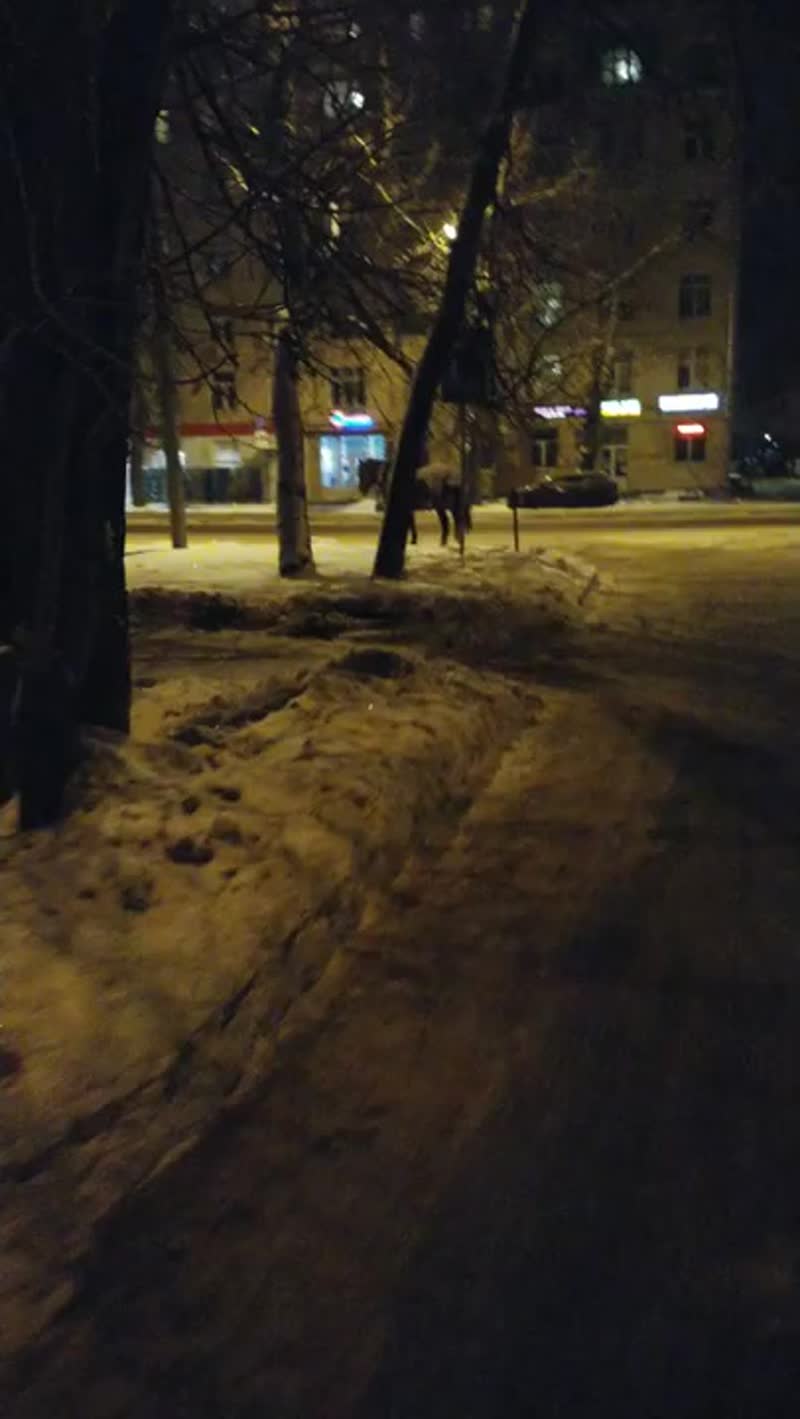 Пьяная женщина ночью в мороз -15 на лошаде в Москве