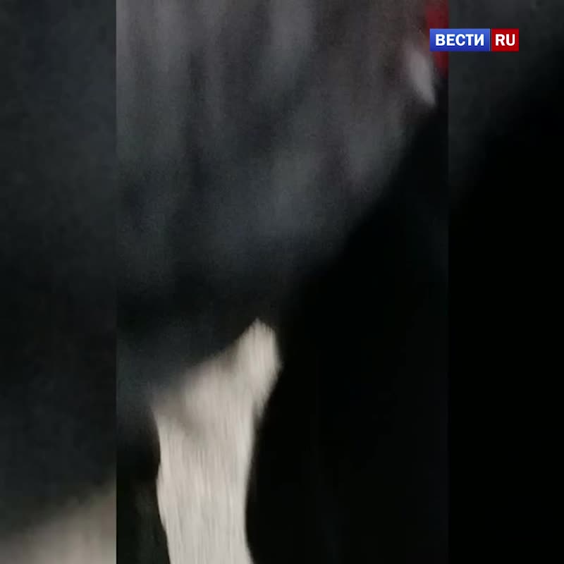 На "Сходненской" подросток упал под поезд метро.