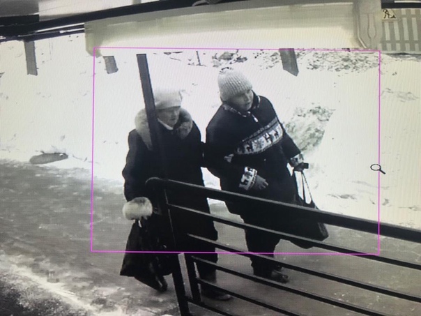 2 февраля 2019 г, в ВАО район Вешняки, женщина на фотографии справа в куртке с Оленями, втерлась в д...