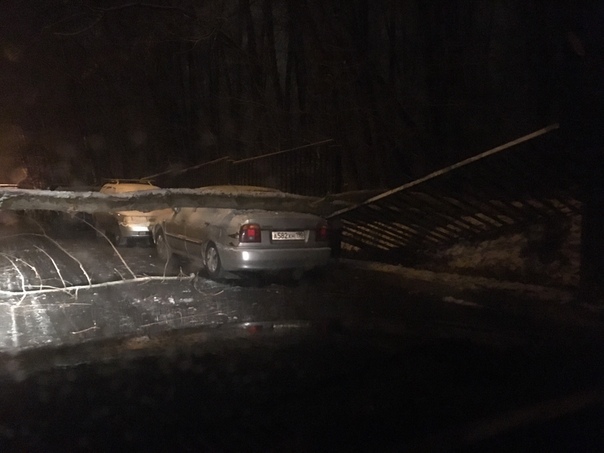 Сегодня ночью, во дворе по адресу ул. Айвазовского 6к1 на авто упало дерево