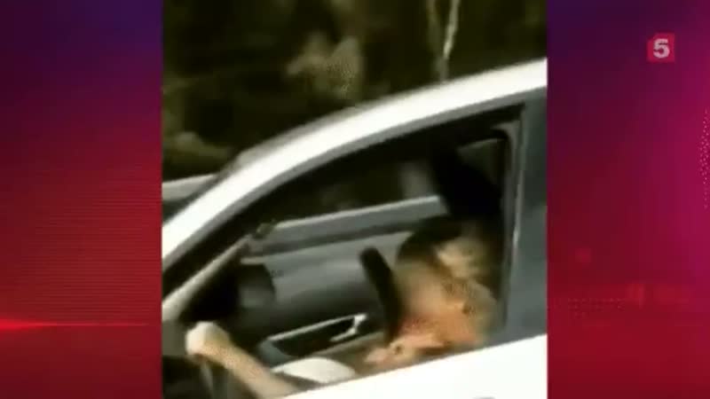 Мать с ребенком на руках разогналась до 140 км/ч. Видео было снято на Киевском шоссе в Москве. По фа...