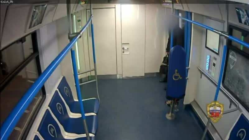 Полицейские задержали 24-летнего жителя Подмосковья, который в прыжке разбил стекло в вагоне метро. ...