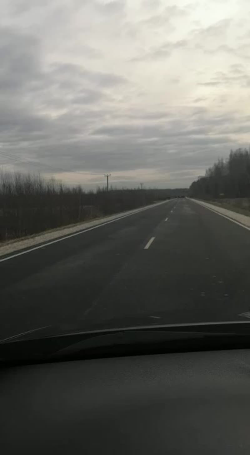 Стадо Оленей на дороге в Насадкино, Дмитровский район.
