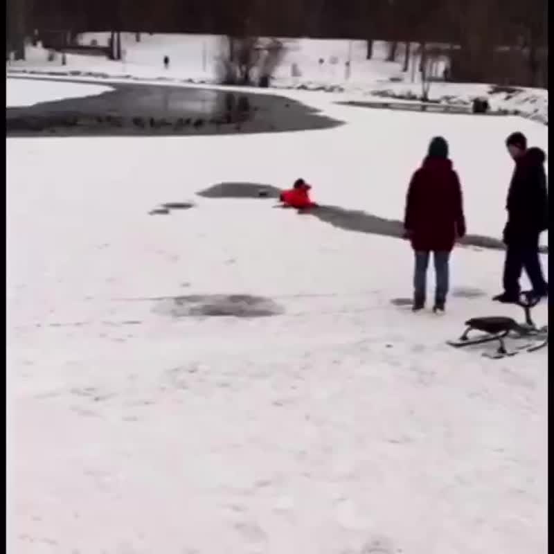 В парке Кузьминки собака провалилась под лёд

Хозяева не могли достать её из воды. К счастью, рядом ...