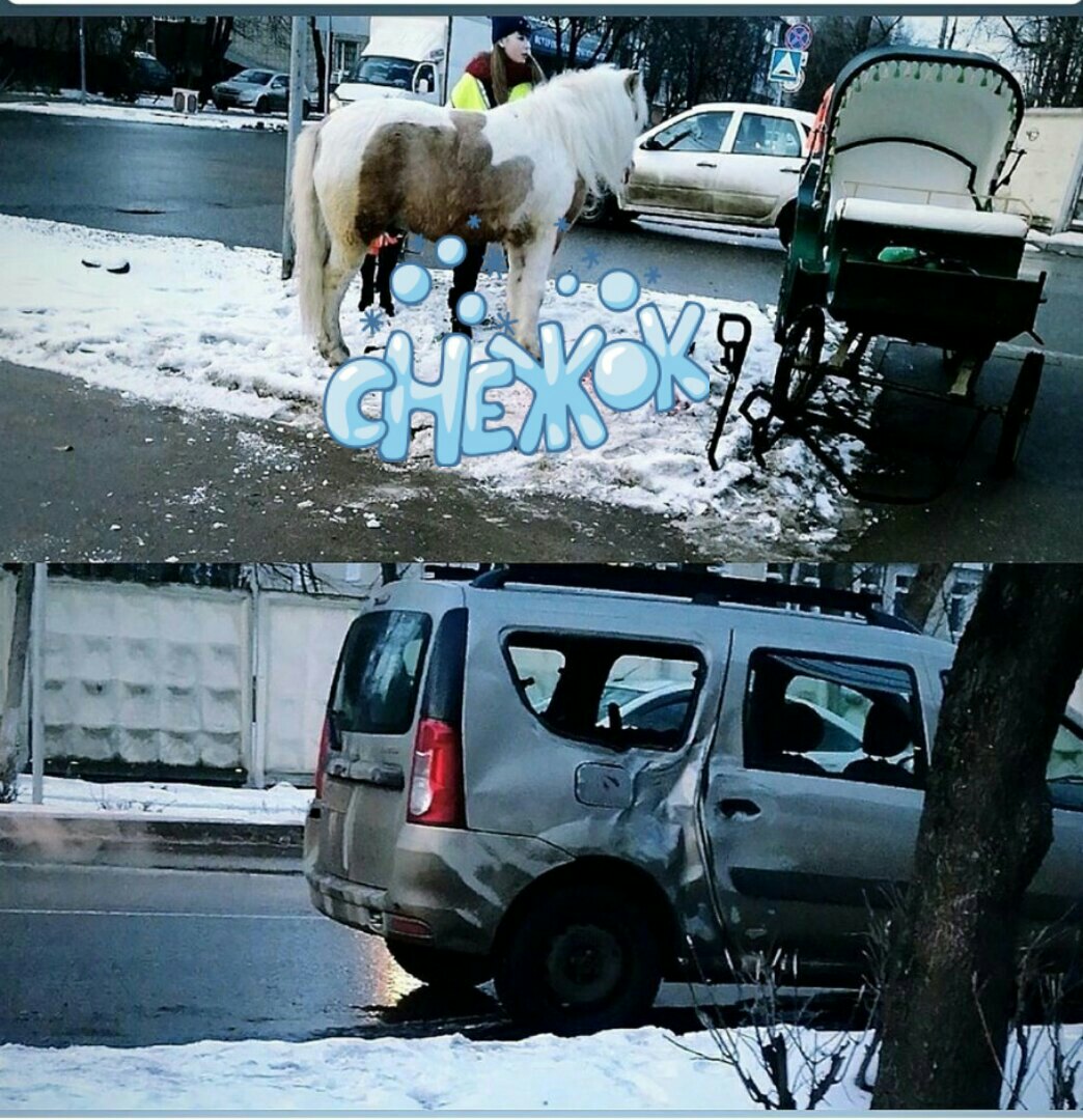 На днях в Климовске случилась необычная авария. Пони попал в ДТП. Это произошло на перекрестке просп...