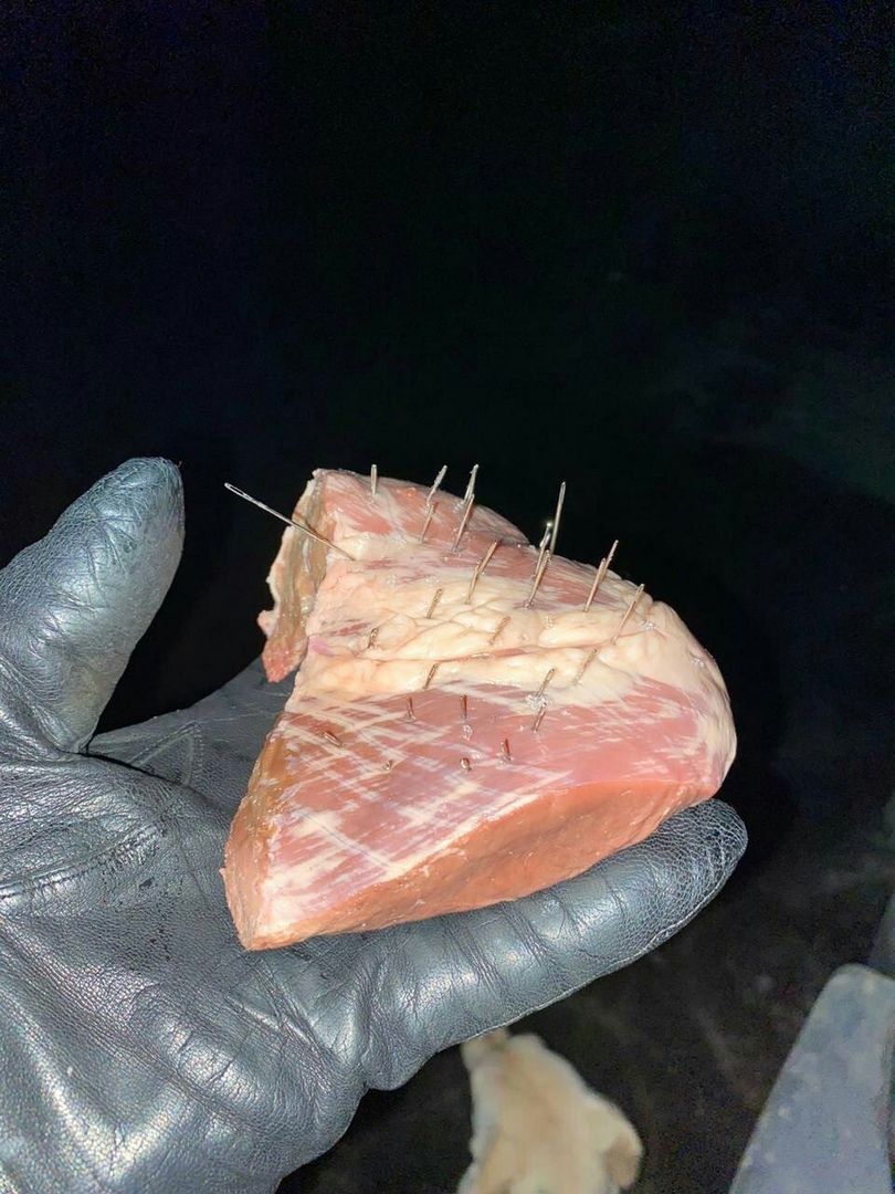 Вчера на Измайловском бульваре найдено мясо с иголками.