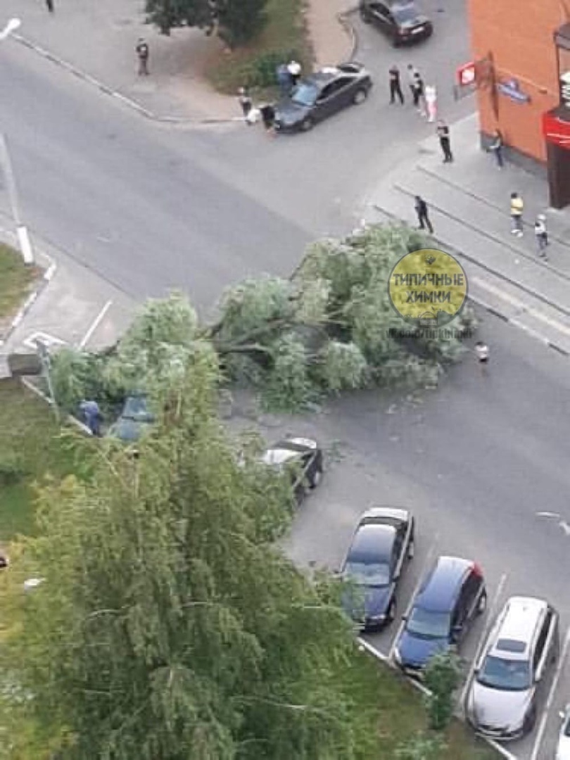 Улица Бабакина в Химках временно перекрывалась  дорога, из-за упавшего на автомобиль дерева.