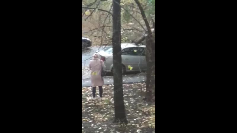 Упало дерево на автомобиль на востоке Москвы. 

Экстренное предупреждение МЧС из-за непогоды действу...
